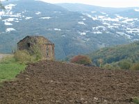 Panorami